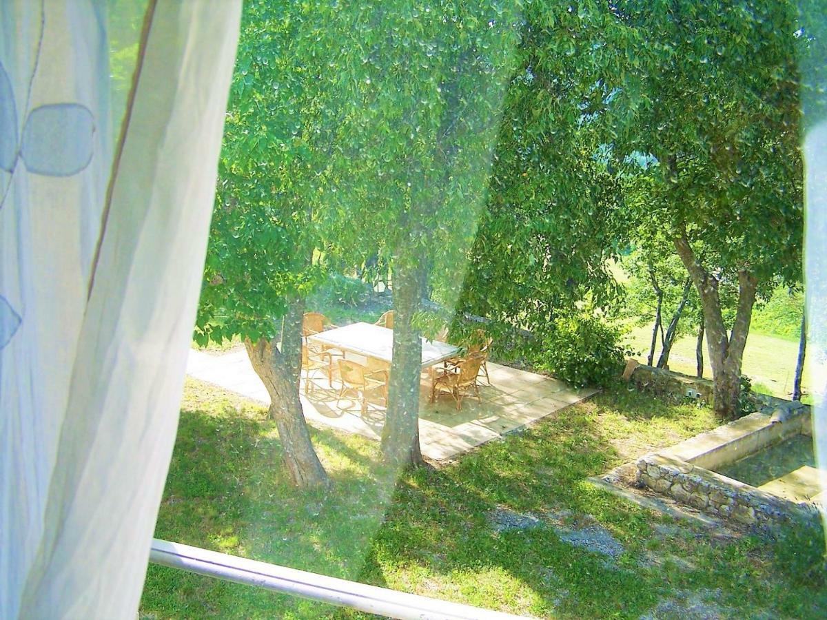Serenite Apartment *