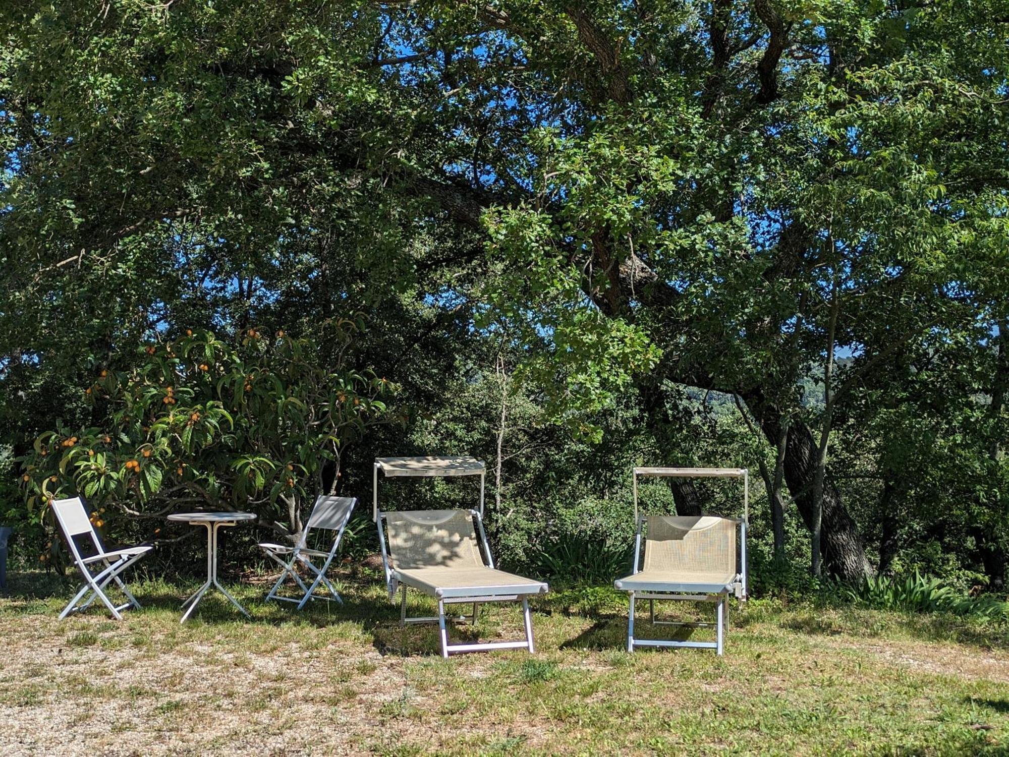 Sérénité Apartamento *